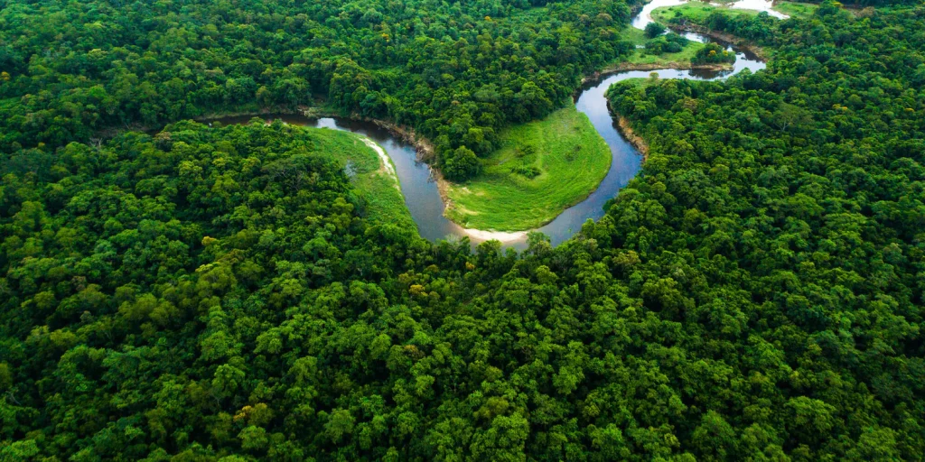 Conservation and Soil Preservation in Woodland Biomes Conservation and Soil Preservation in Woodland Biomes