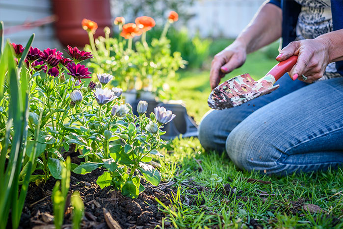 Seasonal Gardening Tips