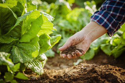 Sustainable & Organic Gardening