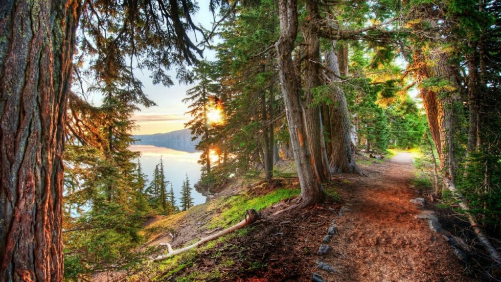 What is a Woodland Biome? What is a Woodland Biome?