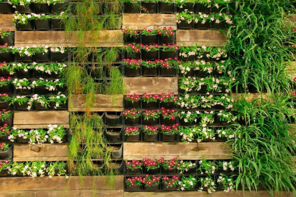 Utilize Vertical Gardening for More Greenery Utilize Vertical Gardening for More Greenery