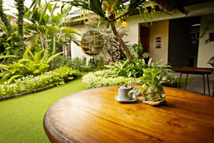 Best outdoor plants for home garden